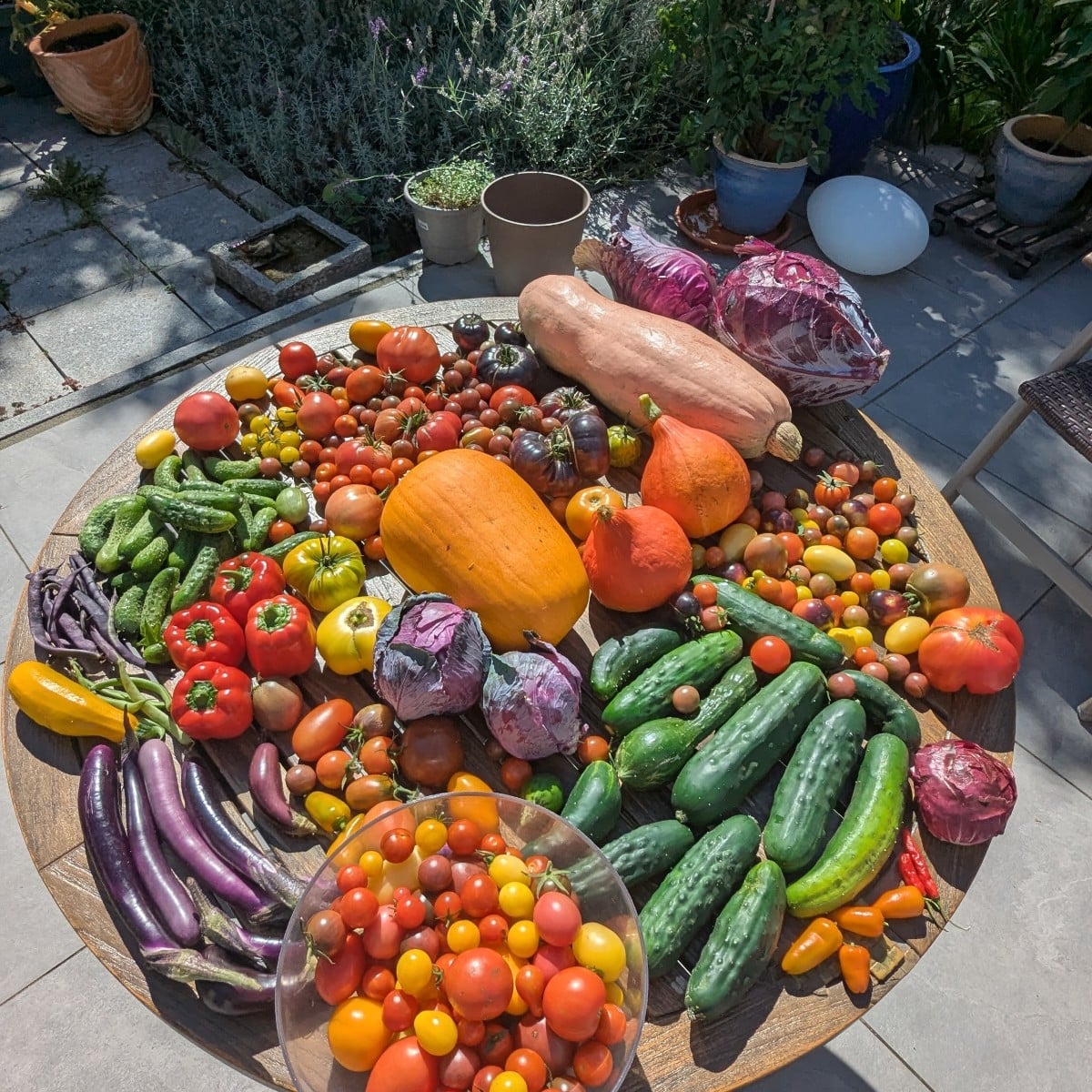 Ein bisschen Garten 
#tomaten
#kohl
#melonen
