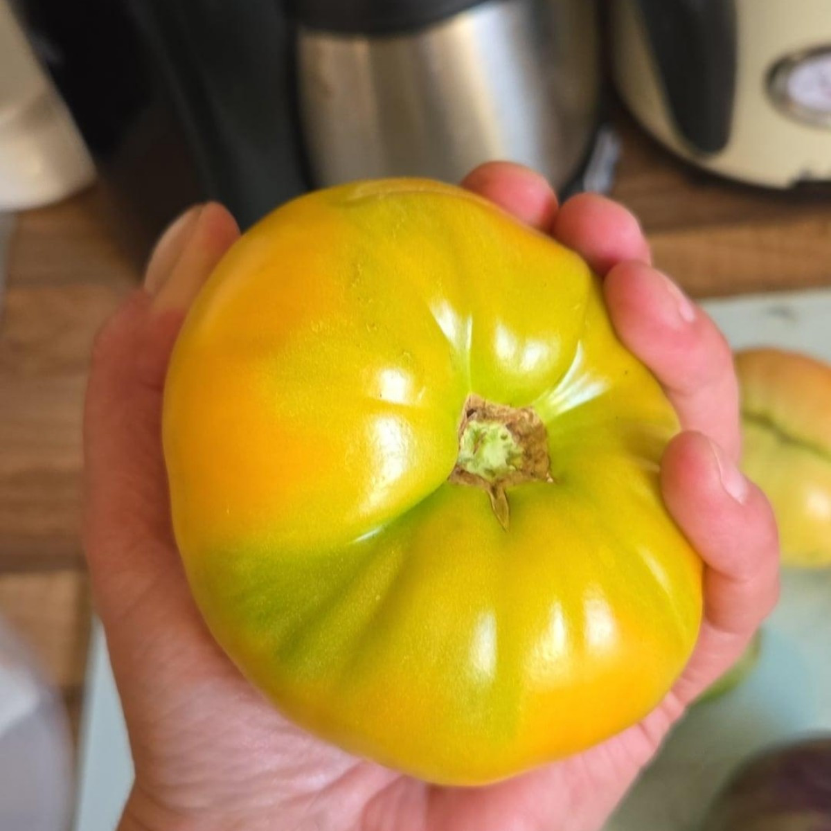 Und wieder massig Tomaten 🥰

Ich bin so dankbar, dass es dieses Jahr so extrem erfolgreich läuft mit den Tomaten. 

Am…