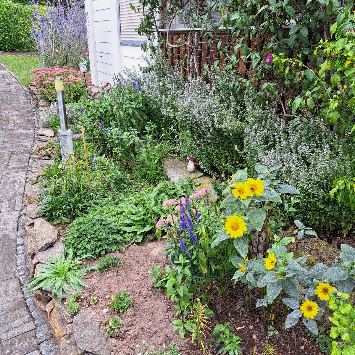 Hallo zusammen 😃

Ich hab heute den Ökologischerwert des Garten nach oben ↗️ geschraubt. Hab 12 neue Wilder Majoran, 4…