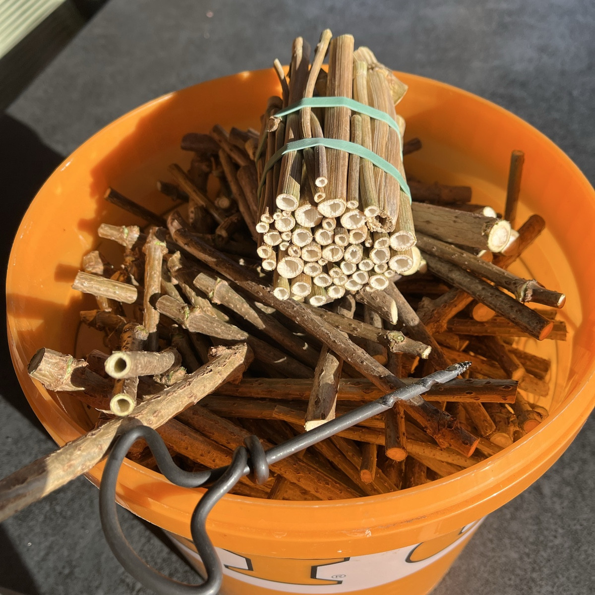 Das wäre so die geplante Herbst-/Winterbeschäftigung 😉 Holunderästchen aushöhlen für eine zusätzliche Insektenpension.…