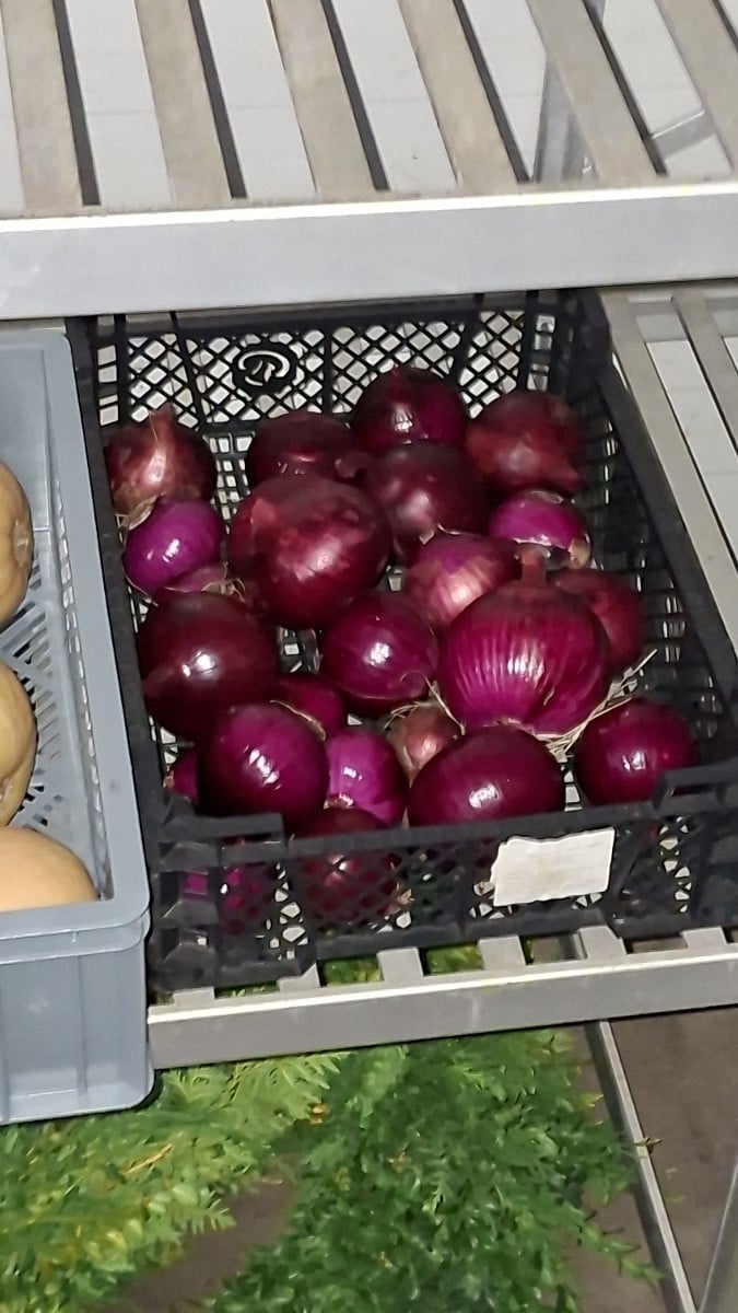 Am Dienstag und Mittwoch haben wir wieder gemüse für den Verkaufsstand und für Edeka geerntet. Auch ist hier wieder vie…