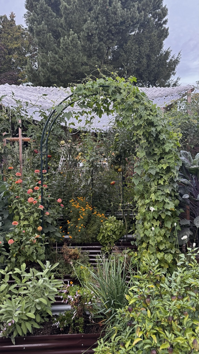 💚🌼💚