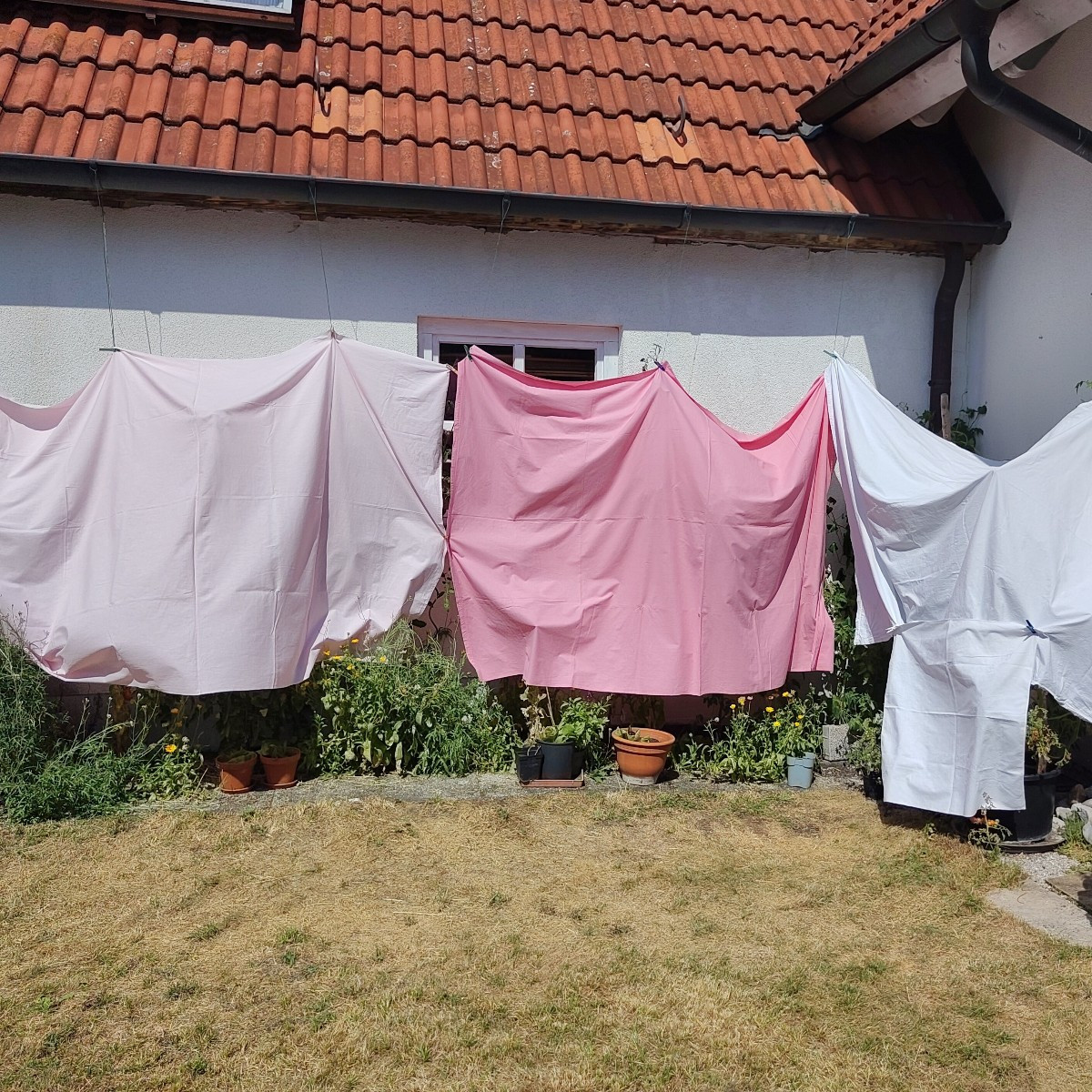 Heute ist wieder Kunst im Garten bei 35 Grad 🥵