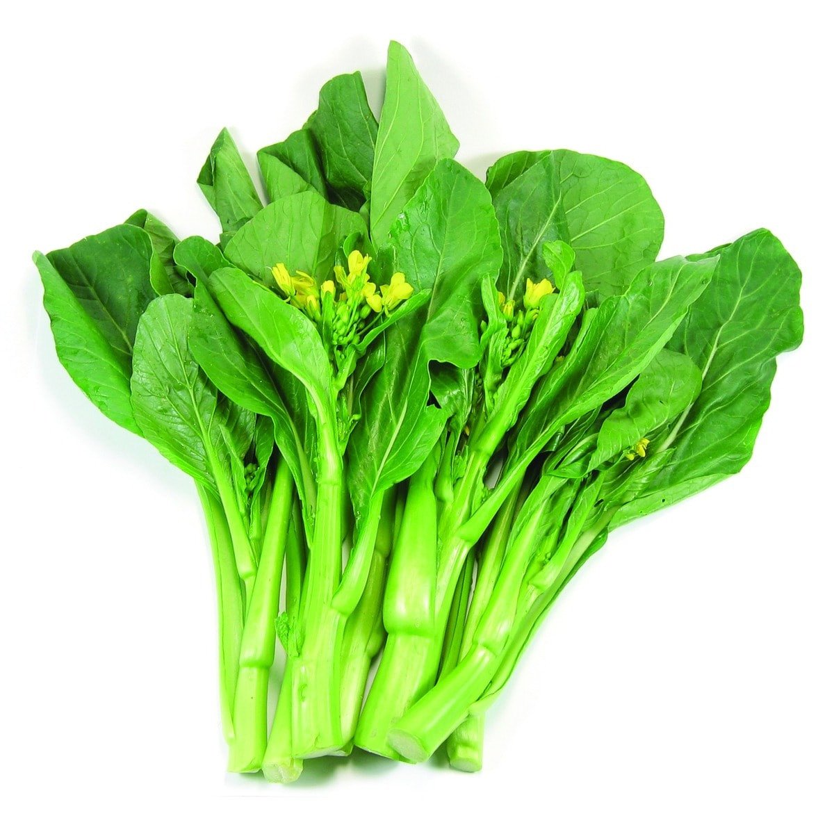 Choy Sum / Chinesischer Blütenkohl (Standardsorte)