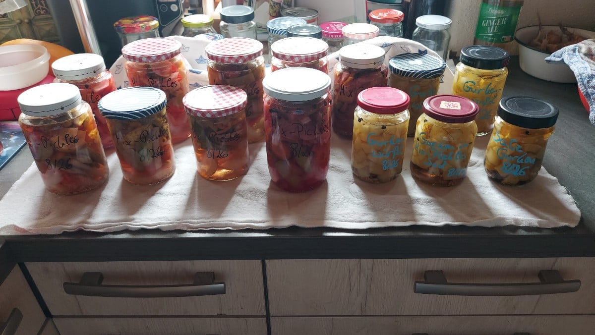 Nachdem gestern fleißig eingekocht wurde, haben sich die Kinder gewünscht im Zelt zu übernachten. 
Beim Aufbau desselbi…