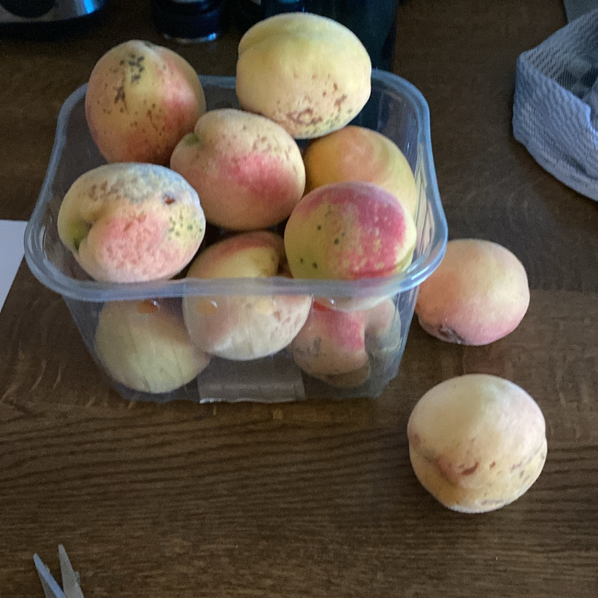 Endlich hat es geregnet!
Da hol ich doch schnell mal meine reifen Tomaten rein, bevor sie platzen …..
Paprika natürlich…