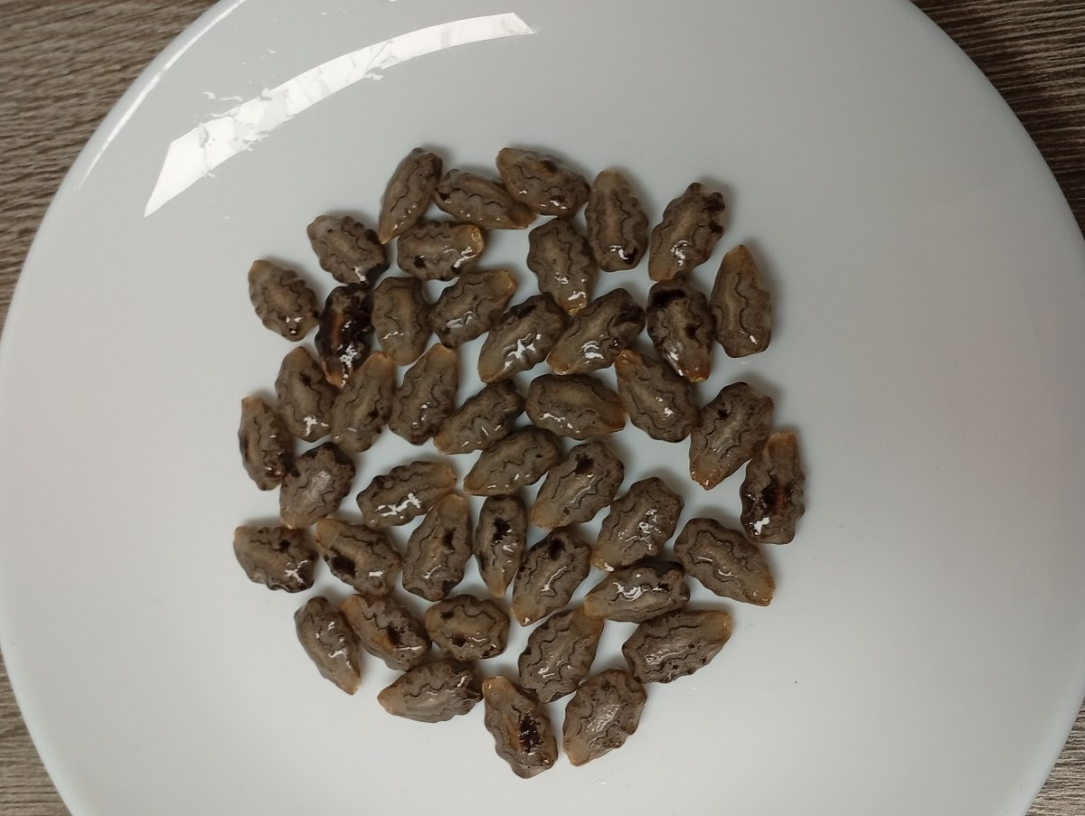Und das sind die kostbaren Samen, die darin verborgen waren. 45 Stück in dieser einen Frucht. Im Durchschnitt kosten 5 …