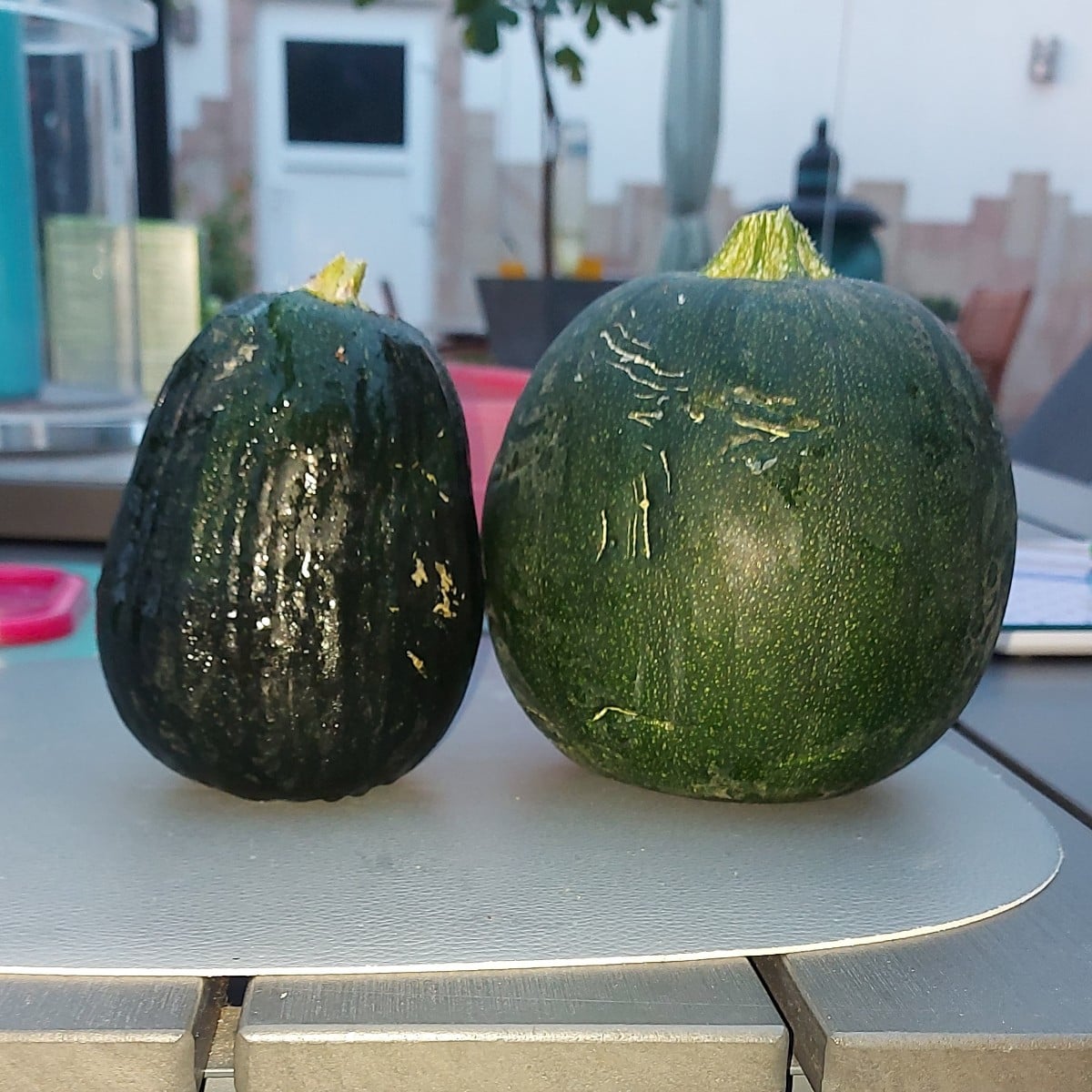 habe gerade kugelzucchini geerntet. Die grosse Frucht ist normal, die kleine Steingarten und mit nem Messer nicht aufzu…
