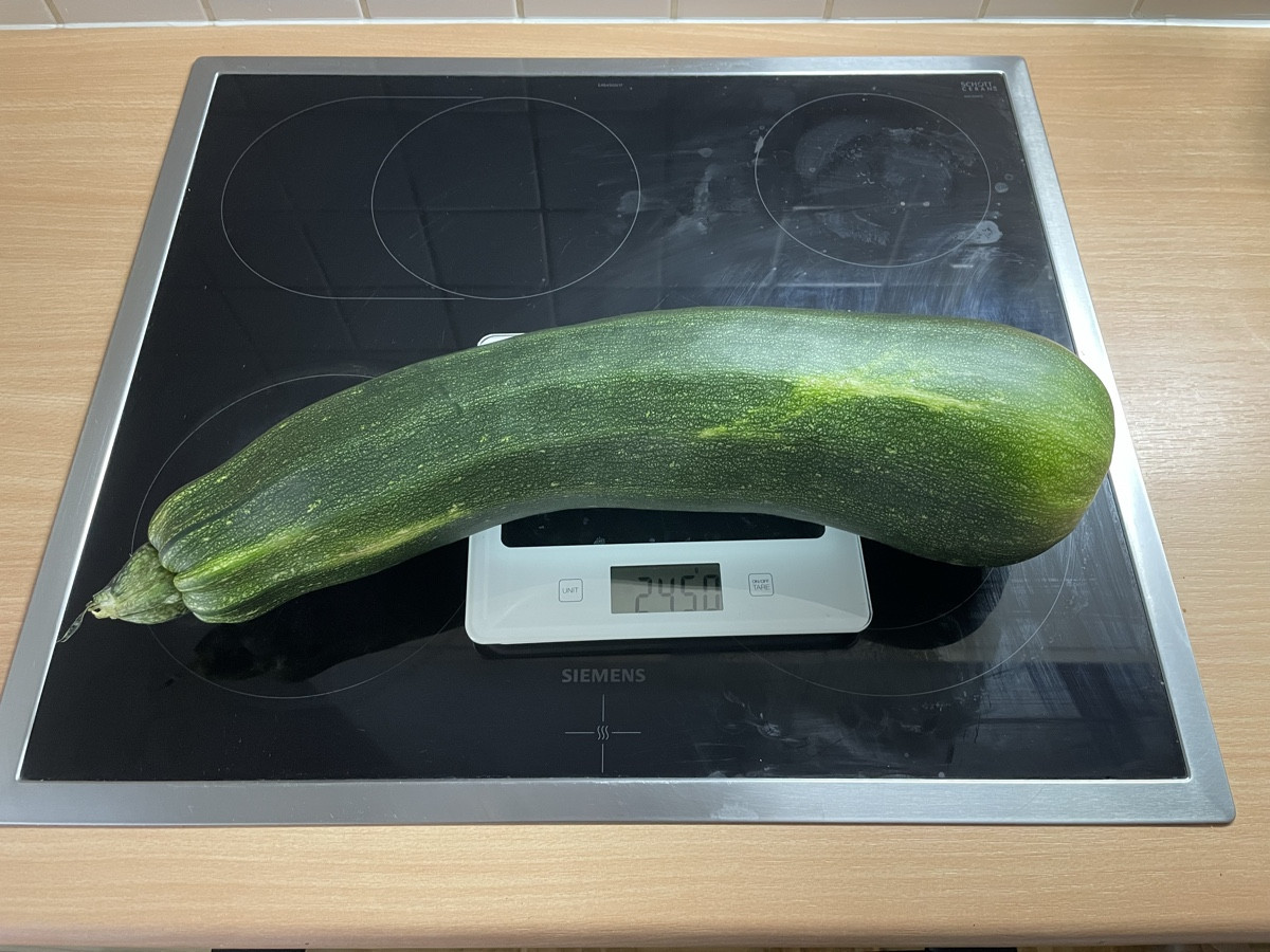 Jetzt war ich knapp zwei Wochen im Urlaub und die Zucchini ist natürlich mal wieder explodiert.

Was macht ihr mit solc…