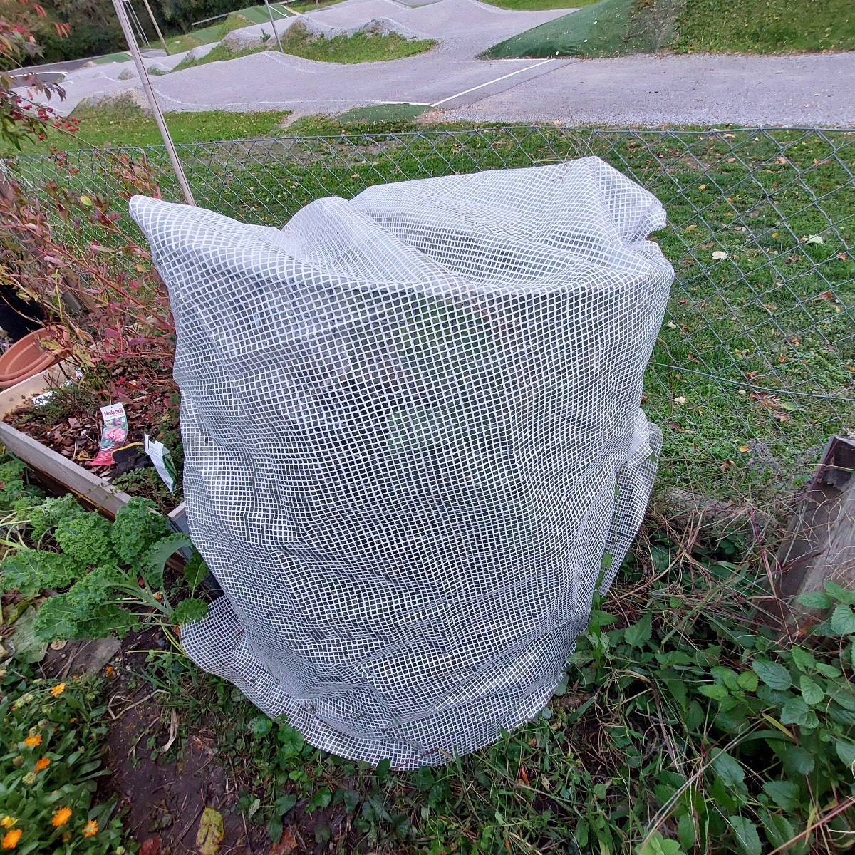 Habe sie jetzt ein bisschen eingepackt. Wer weiss, vielleicht schafft sie es ja wider Erwarten...