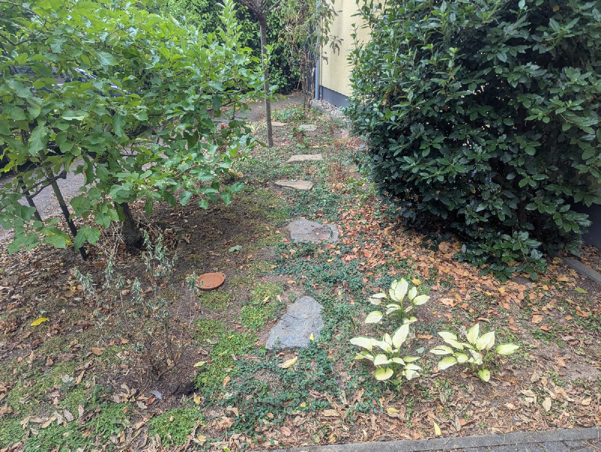 Fazit zum im Frühjahr neu bepflanzten Vorgarten nach drei Wochen Hitze ohne Regen und Bewässerung...

Das Ziel war, sch…