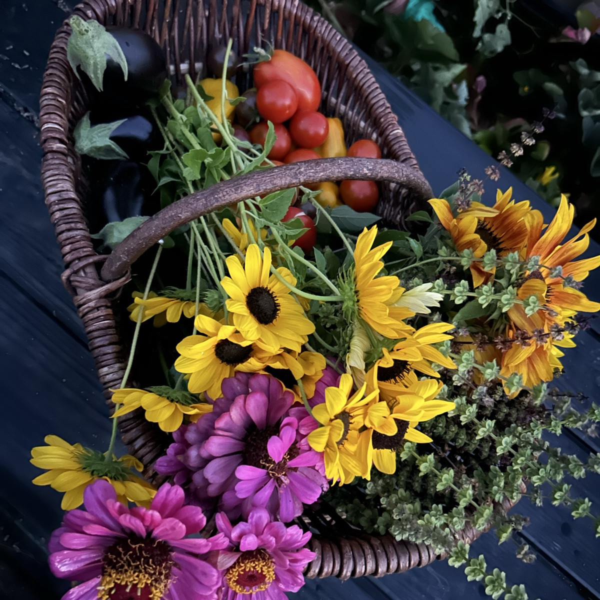 Angesichts der anhaltenden Dürre bin ich so dankbar, dass ich nicht nur wunderschöne Blumen habe, sondern auch Obst und…