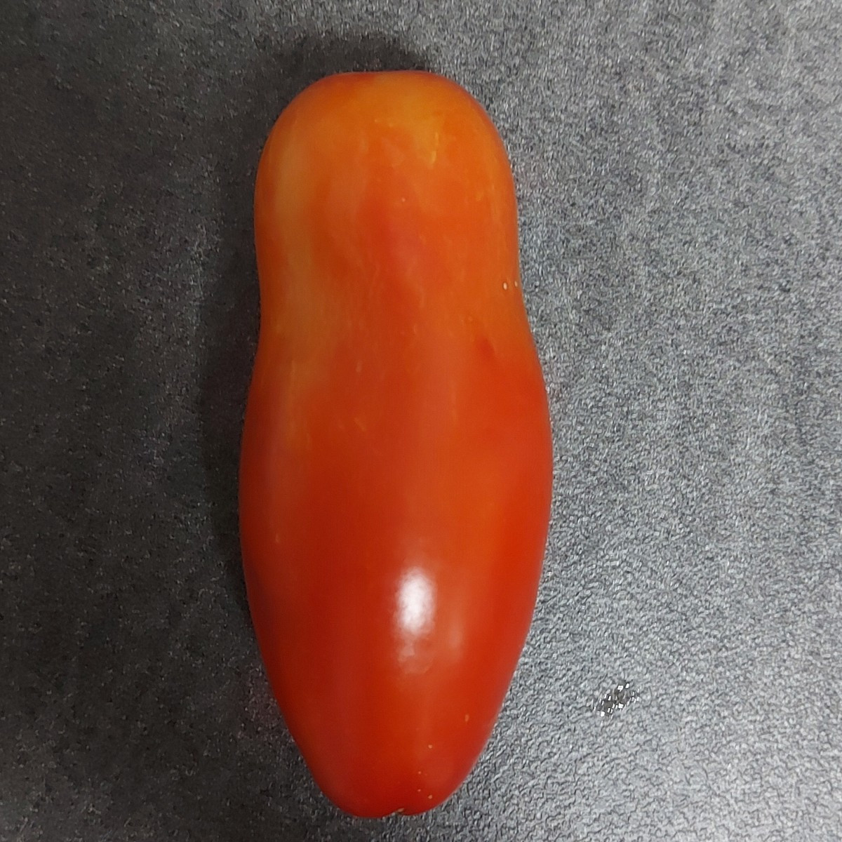 Ist das eventuell eine Pozzano? Sieht meiner ähnlich