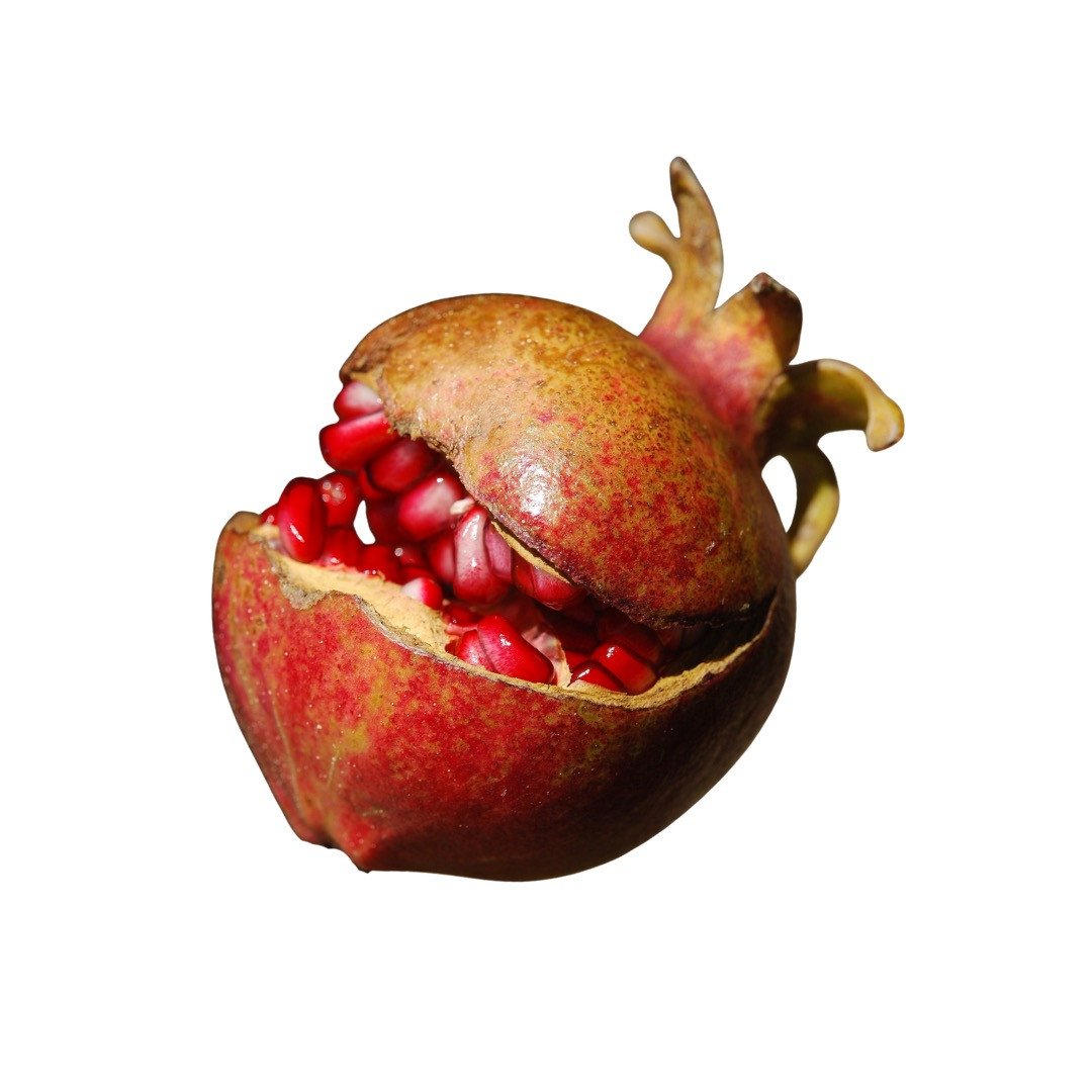 Granatapfel