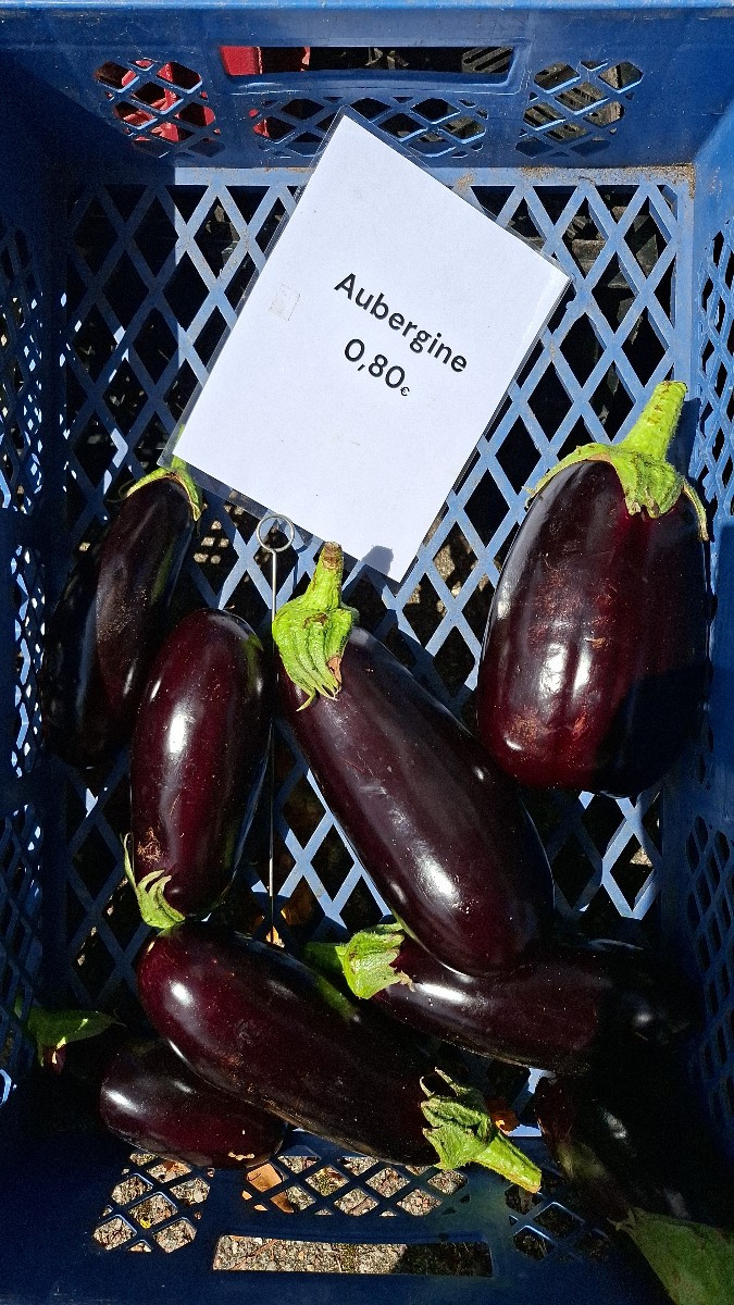 Das sind echte monster doese saison