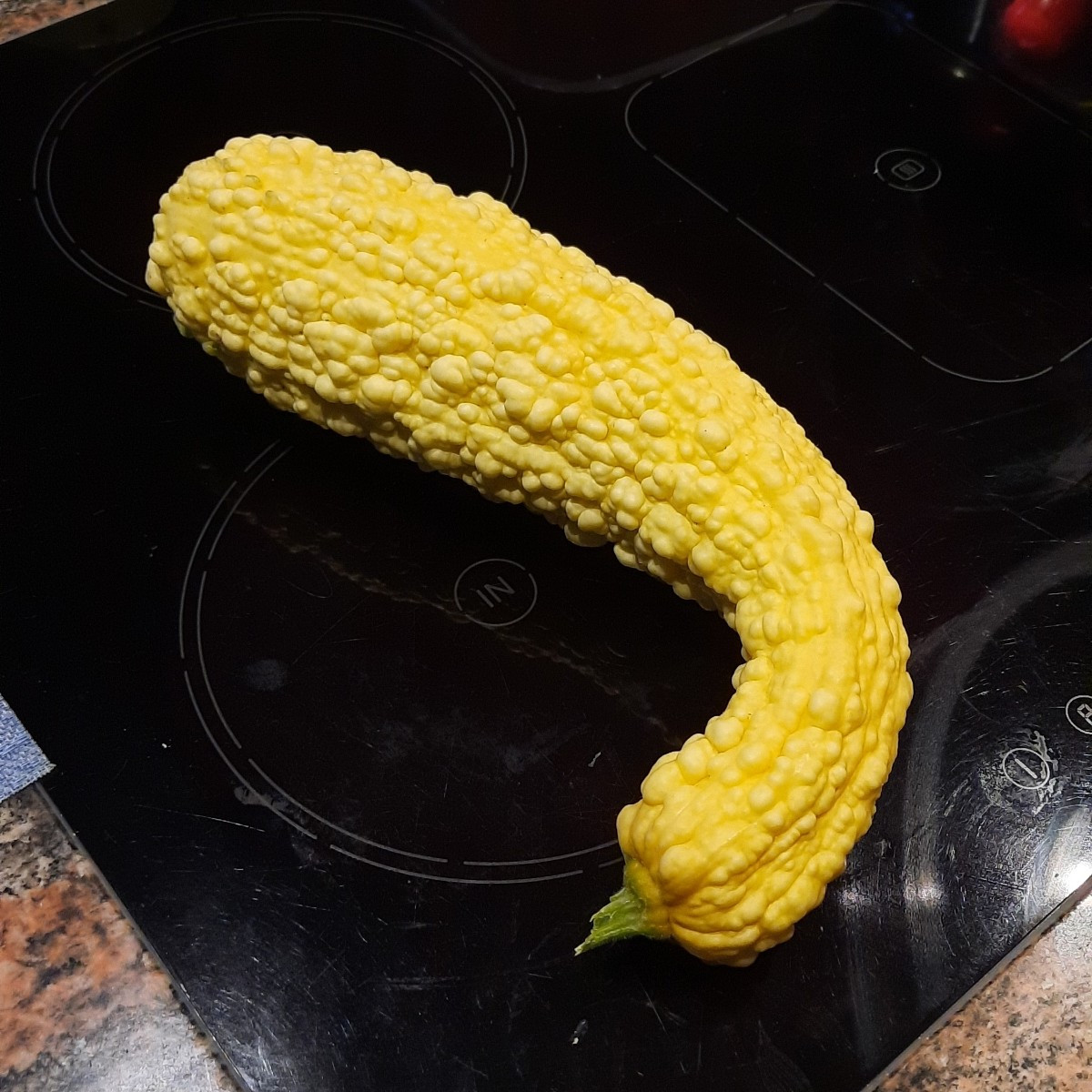 Bist du sicher das das ein Zierkürbis ist? Ich habe dieses Jahr Zucchini Rugosa Friulana angebaut. Die sehen genauso au…