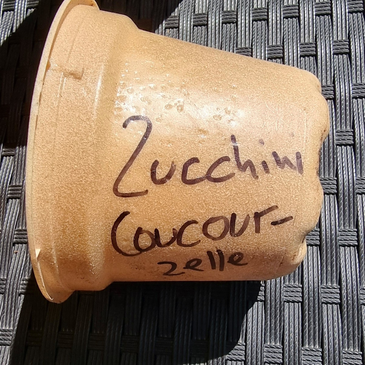 Mega, müsste diese Sorte sein. Verleiht auch hier dem  Garten eine Schwemme.