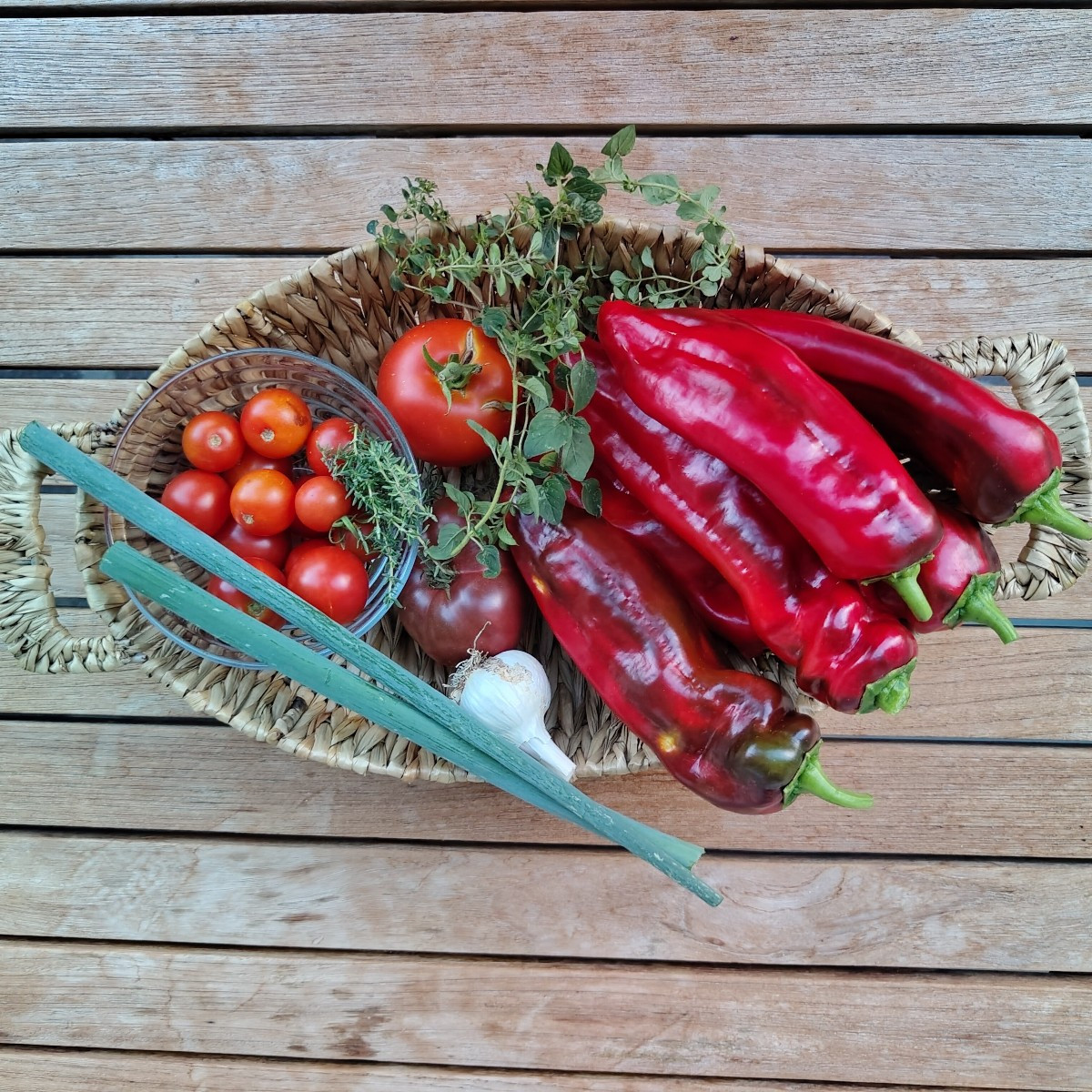 Von der heutigen Ernte gab's: Mit Schafskäse gefüllte Spitzpaprika in Tomatensugo 😋