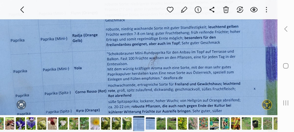 Hab ein Foto seiner Liste gefunden. Yola heißt sie.
Wier erkenn ich Paprika, die reif sind zur Samengewinnung? Dann ver…