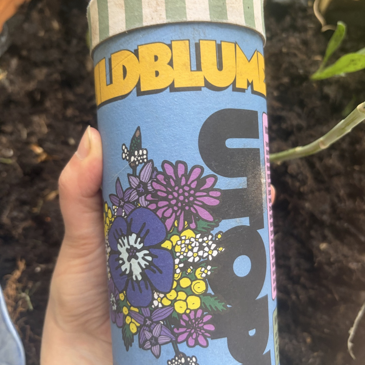 Ich war gerade die Baumscheiben vor dem nächsten Regen aufbessern, wilde Tulpen pflanzen und hab noch schön diese Wildb…