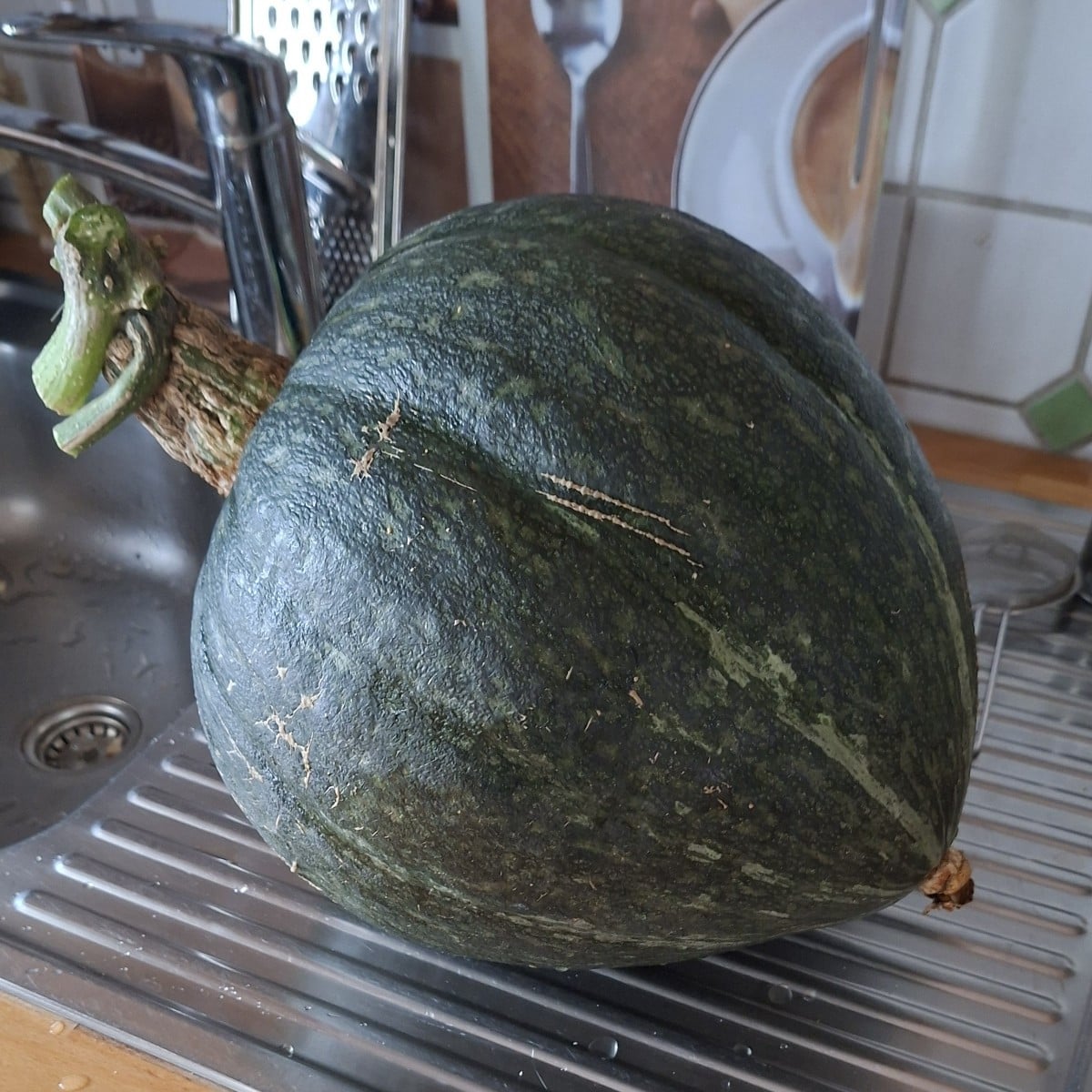 Hilfe, mein Kürbis wiegt mehr als 5kg. Der Stielansatz ist aber schon weich. Wie kann ich ihn abwechslungsreich verarbe…