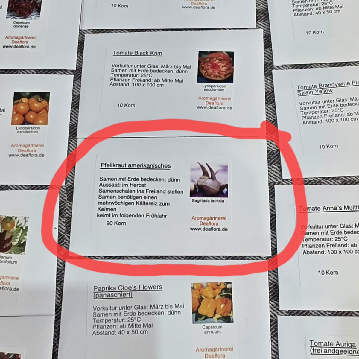 Wollte in meinem Teich neue hübsche und auch essbare Pflanze ausprobieren. Hat jemand Erfahrung damit?