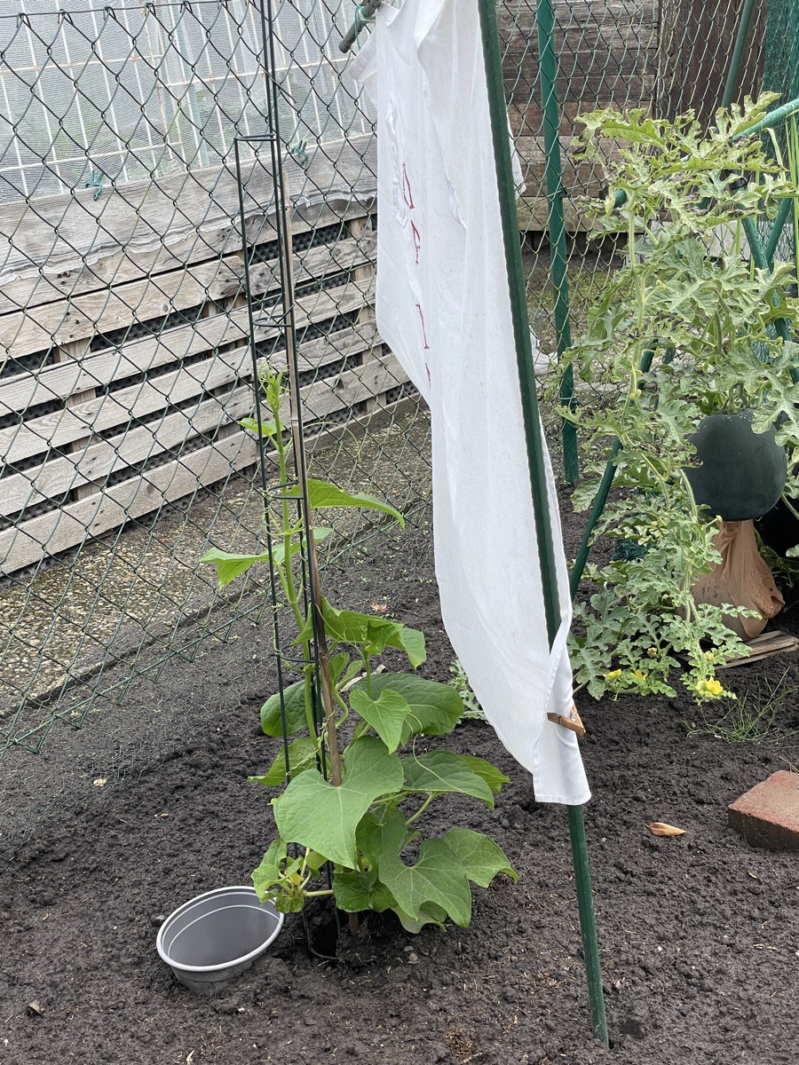 das war sein Platz im großen Garten (mit Sonnenschutz)