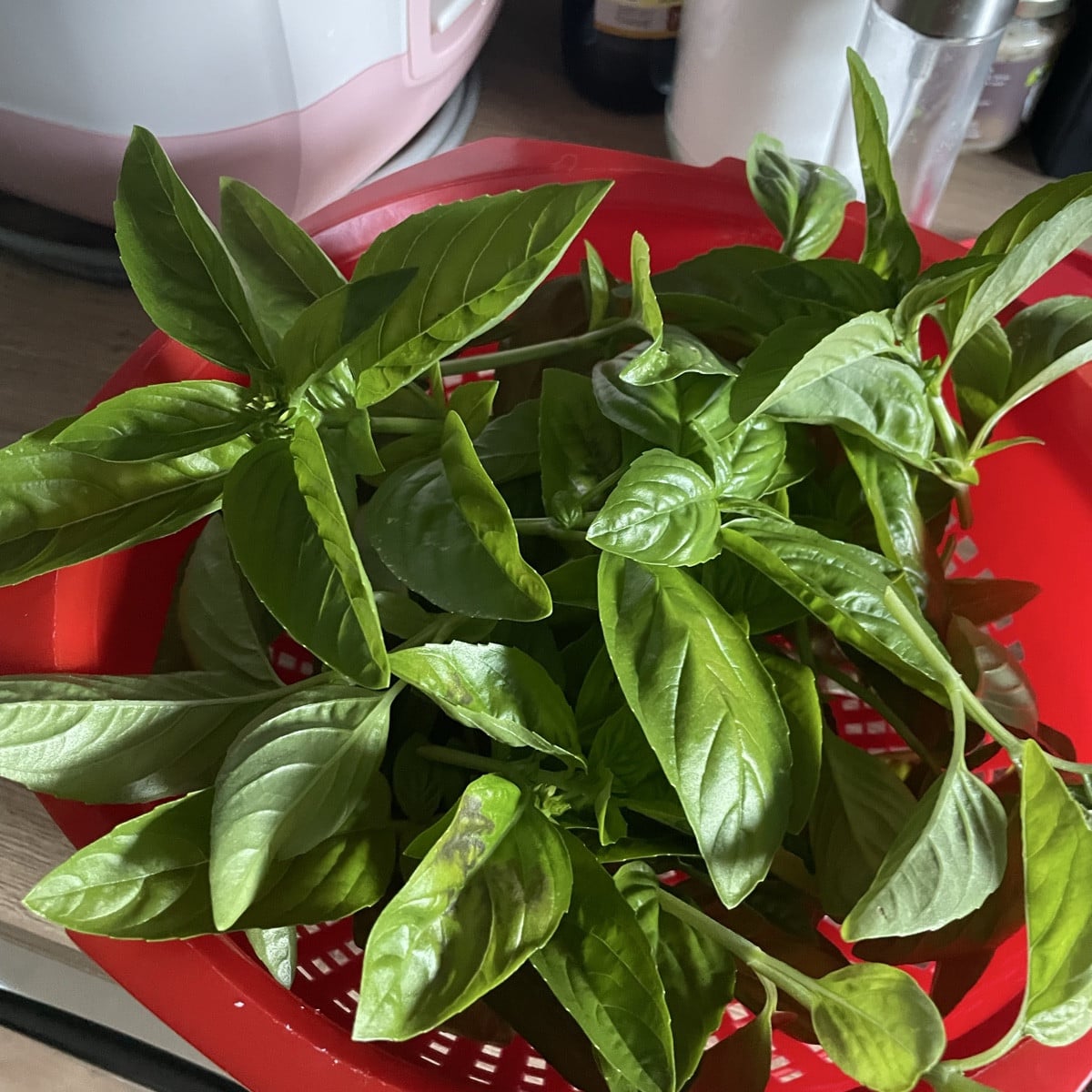 Bin heute fleißig genug für Pesto. 