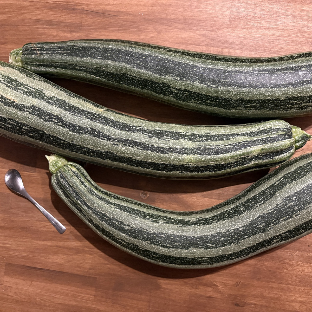 Da komm ich nach zwei Wochen Urlaub zurück nach Hause und erwarte, eine vertrocknete Zucchini vor zu finden, stattdesse…