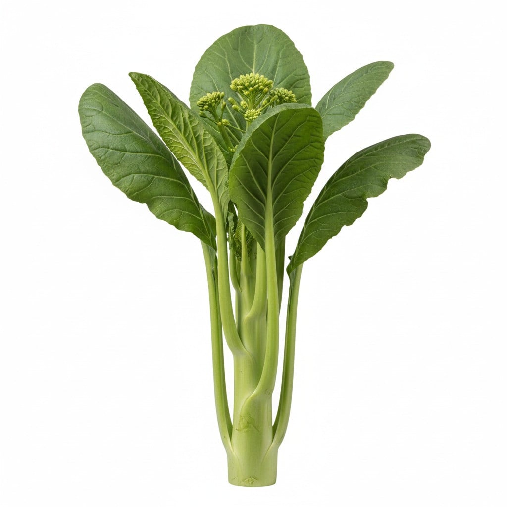 Gemüsekohl - Kai-Lan / Chinesischer Brokkoli 