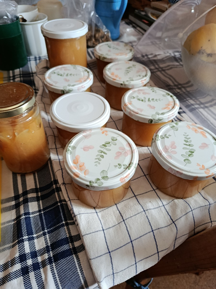 Heute habe ich nochmal Quittenmarmelade gekocht. Von dem Rest werde ich nochmal gebackene Quiten machen und ein Quitten…
