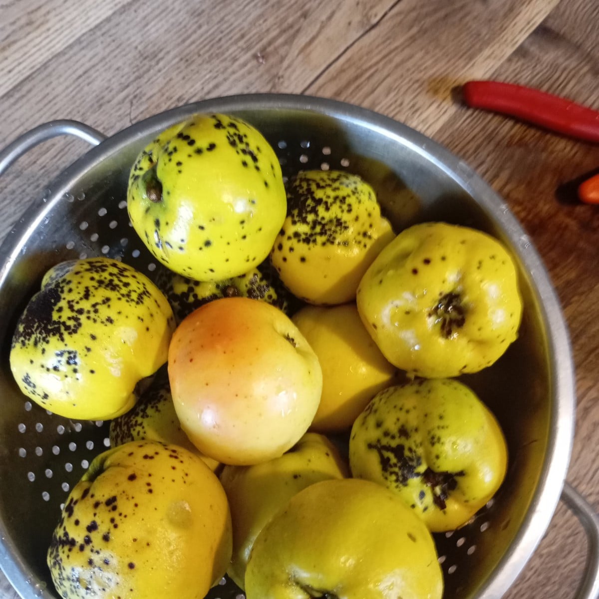 Heute machen wir Quitten Saft haben ungefähr fünfzehn kg geerntet 