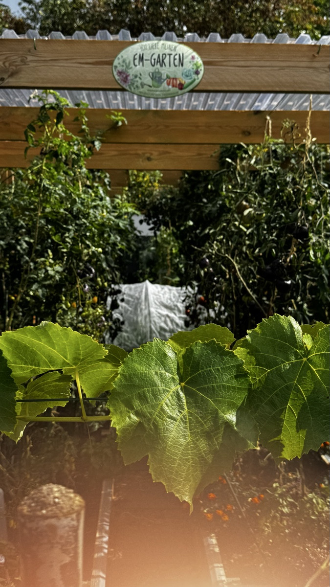Me In My Garden