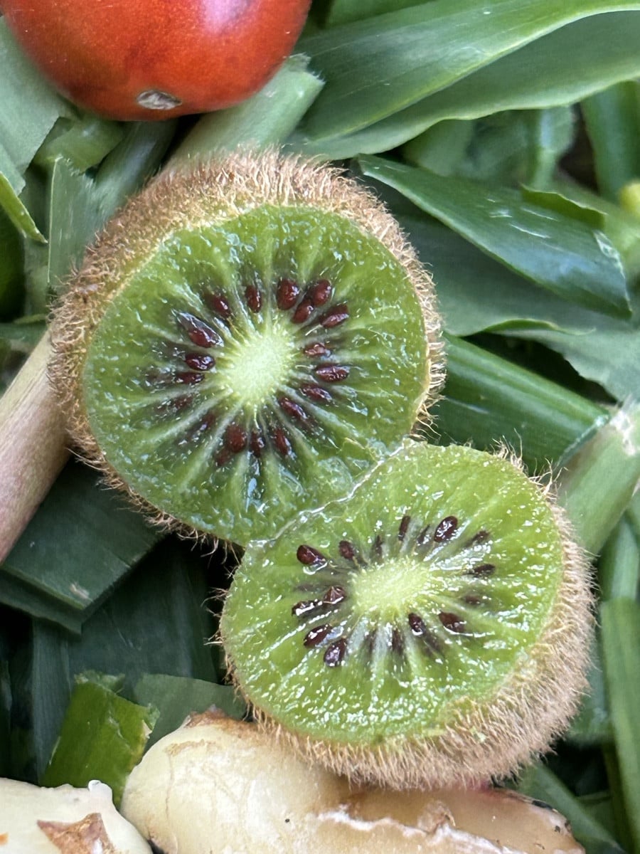 Heutige Ernte 😇

Das Ingwer Grün wird gedörrt und zu Pulver.. Die Knollen kandiert. 

Meine eigenen Kiwi. 🥝 😍 was fü…
