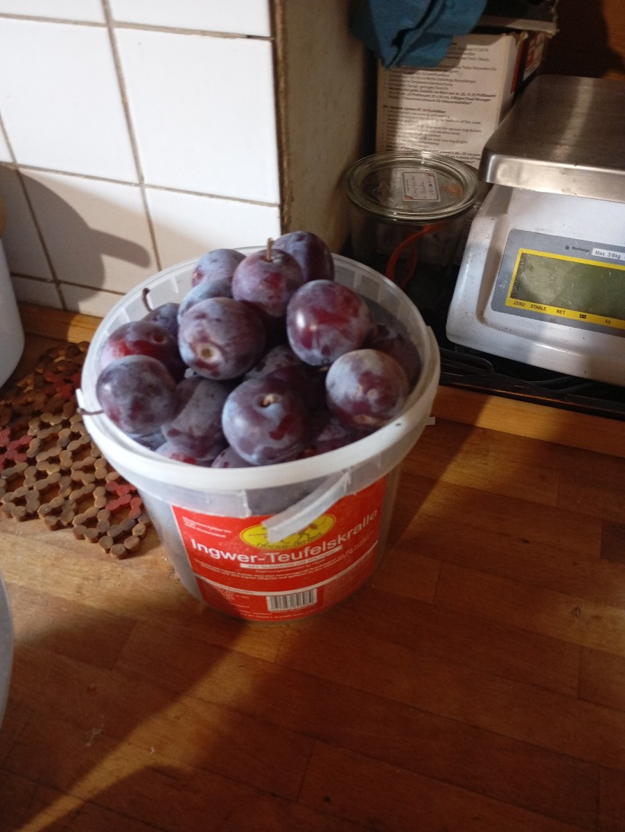 Heute Holunder, Birnen Saft hergestellt Tomaten Rot und Gelb geerntet gestern meinen Pflaumenbaum gelehrt meine totholz…