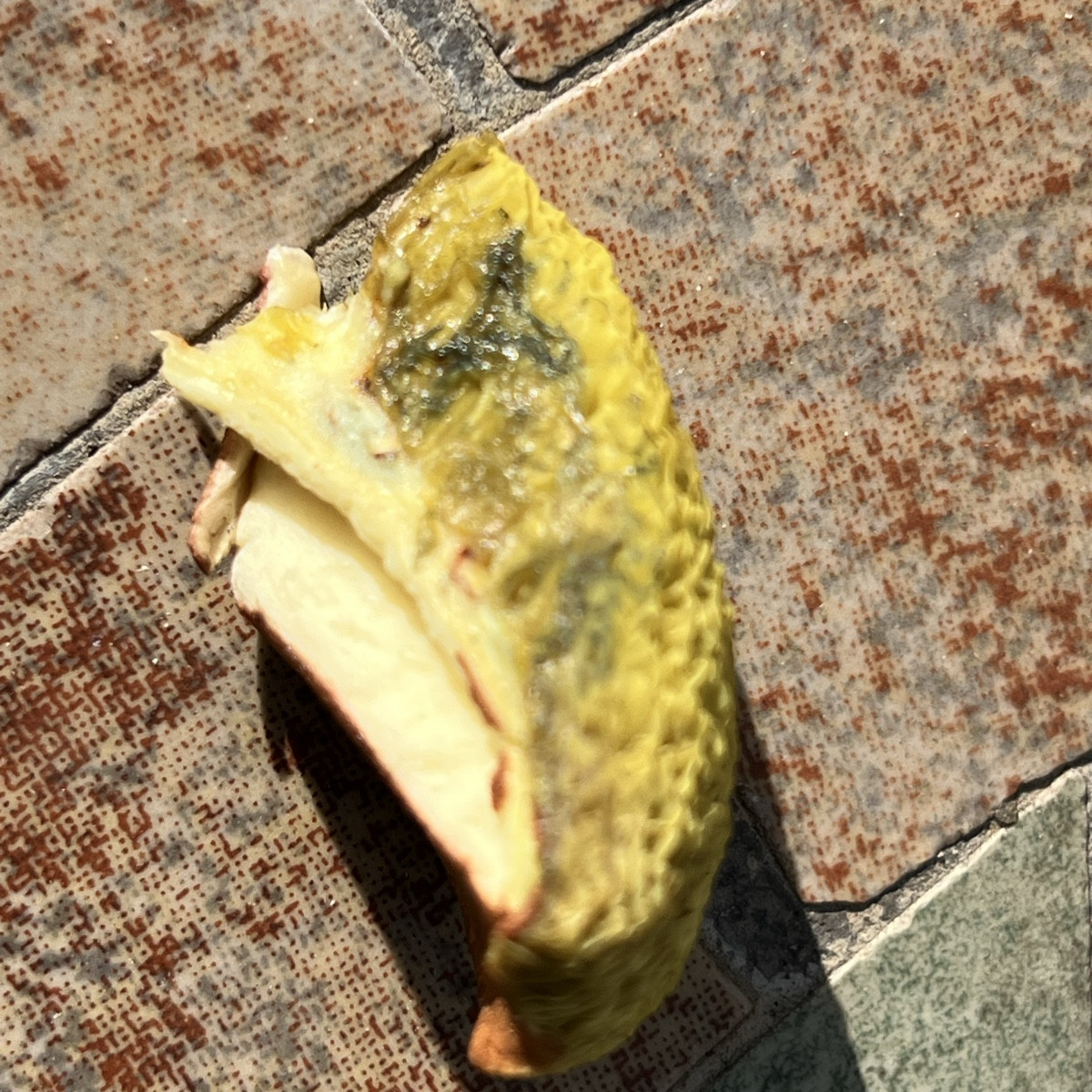 Ich hab mal einen gepflückt und angeschnitten. Hilftvdas weiter?