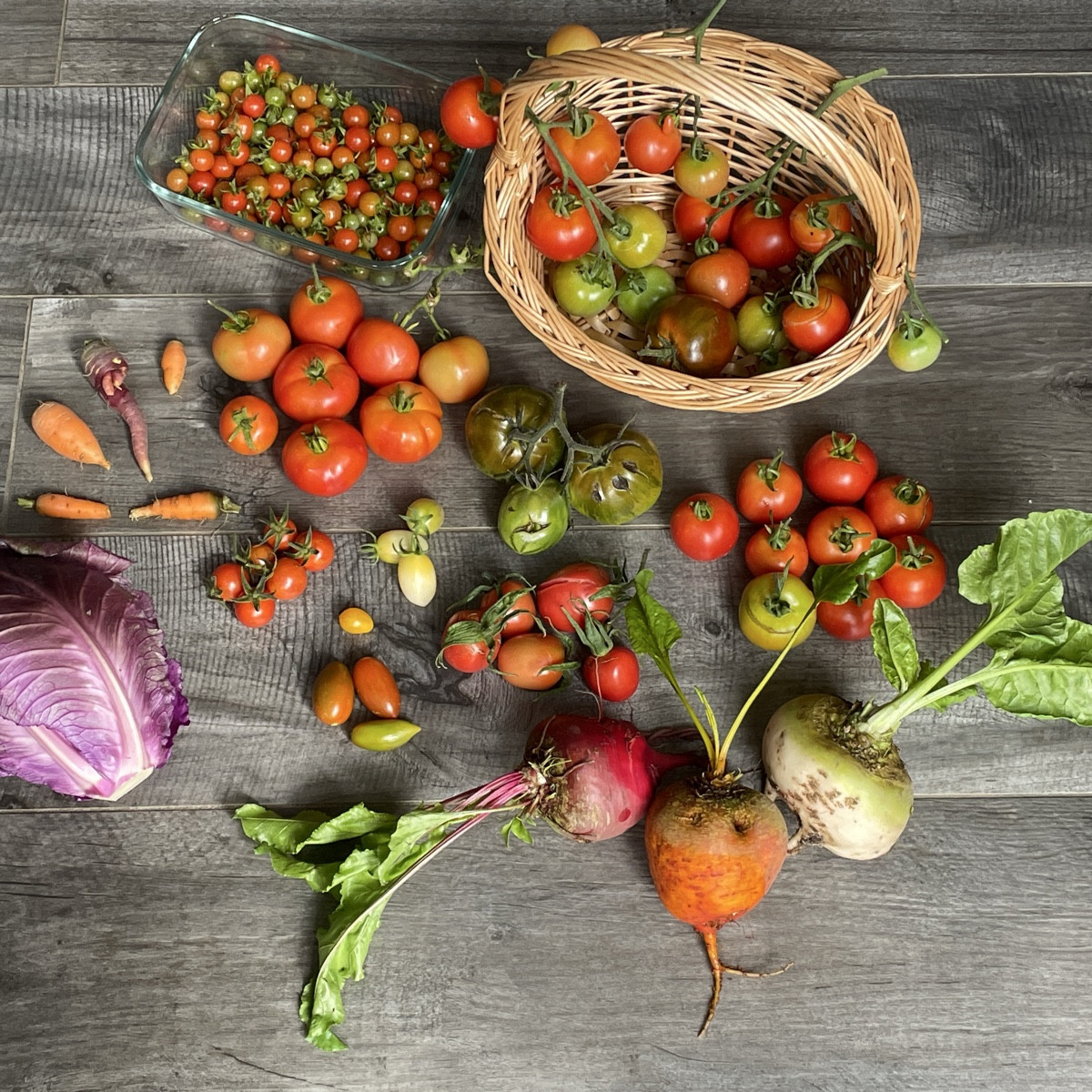 #erntefreuden #einkaufenimgarten 

8 🍅-Sorten (Resi, Sweetie, Dattelwein, Quadro, Hellfrucht, Hatzfeuer, RAF, Märchenm…