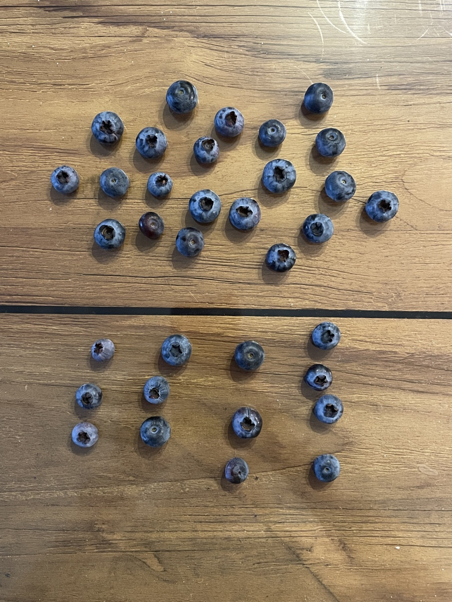@Schöpp_op die Blaubeeren 🫐 erfüllen deinen Wunsch🌧️, aber das ersehnte Nass bringt sie leider nicht 🫣