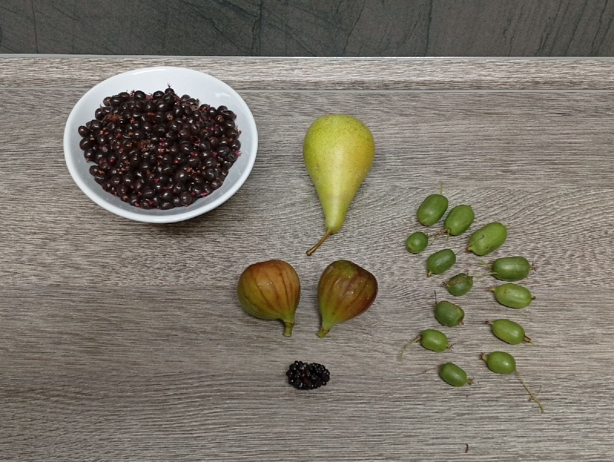 Nun haben wir unsere ersten Kartoffeln @vitelotte-36190 geerntet. Es ist der Ertrag aus 4 Pflanzkästen (40x80cm). Jede …