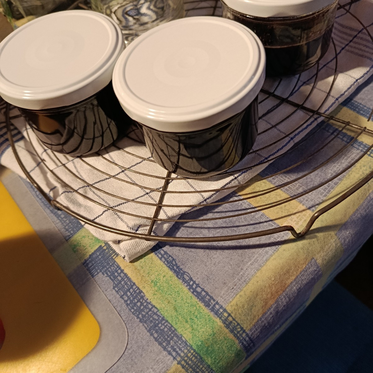 Heute meinen zweiten Spitzkohl geerntet. Diesmal aus dem Freiland. Er ist kompakter, aber dieses Jahr auch fester vom B…
