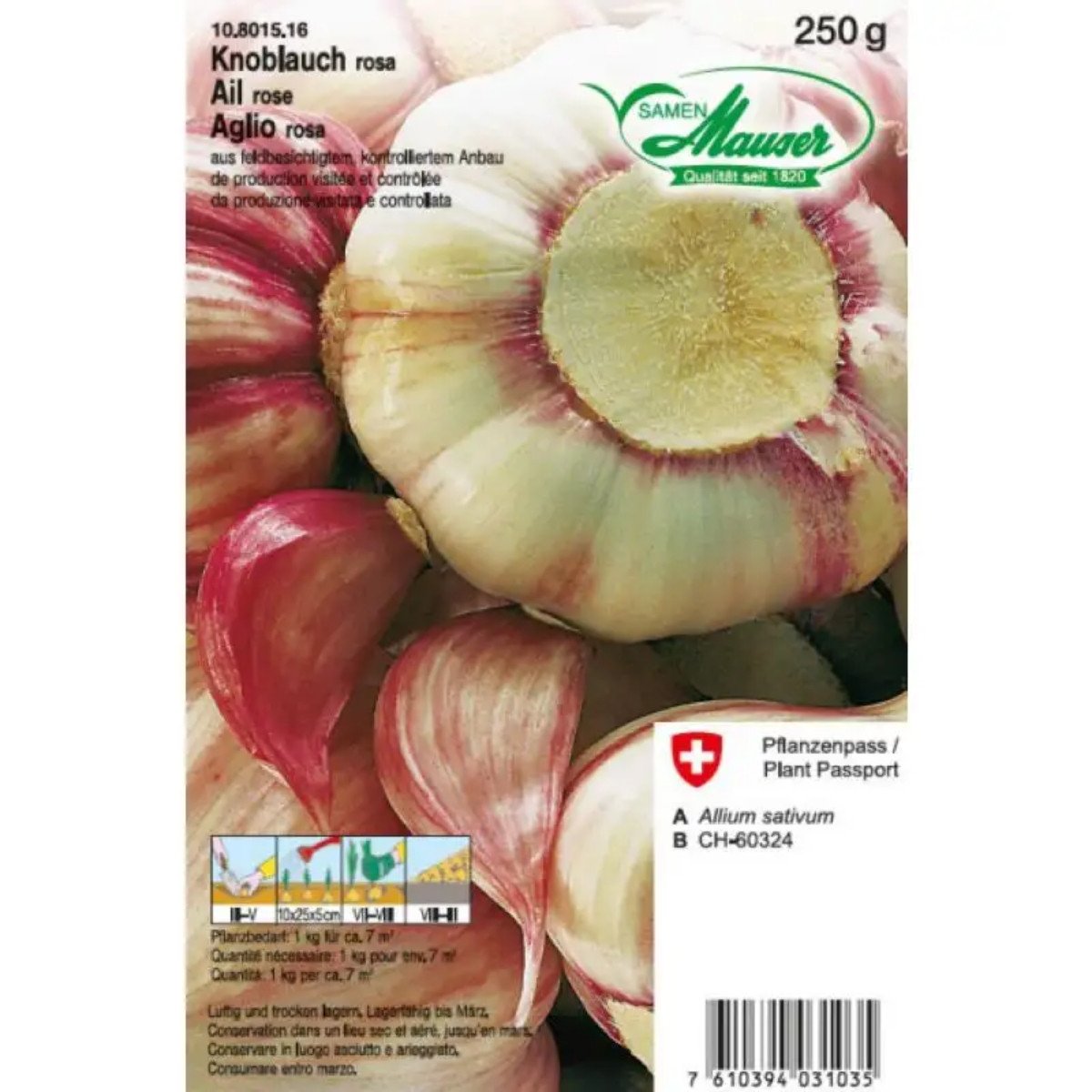 Knoblauch rosa