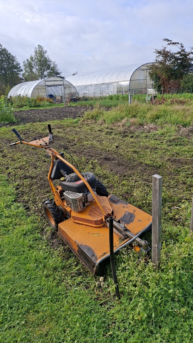 Heute haben wir auf der Freifläche viele der Beete für den Winter vorbereitet. Die alten verblüten Pflanzen raus, oder …