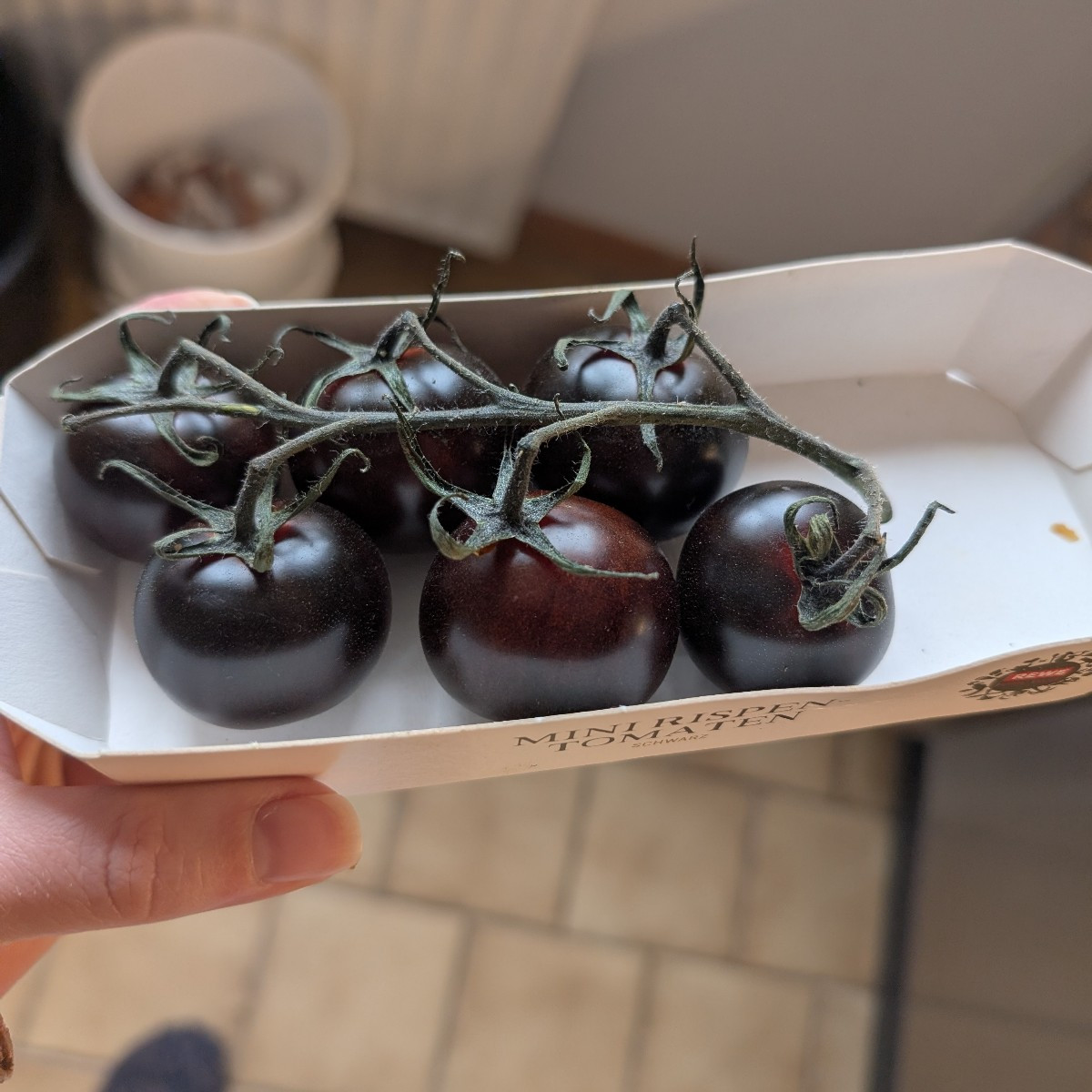 Mal eine Frage in die Runde.Ich habe Samen von Tomaten aus dem Supermarkt dieses Jahr gepflanzt.Wie erkennen ich jetzt …