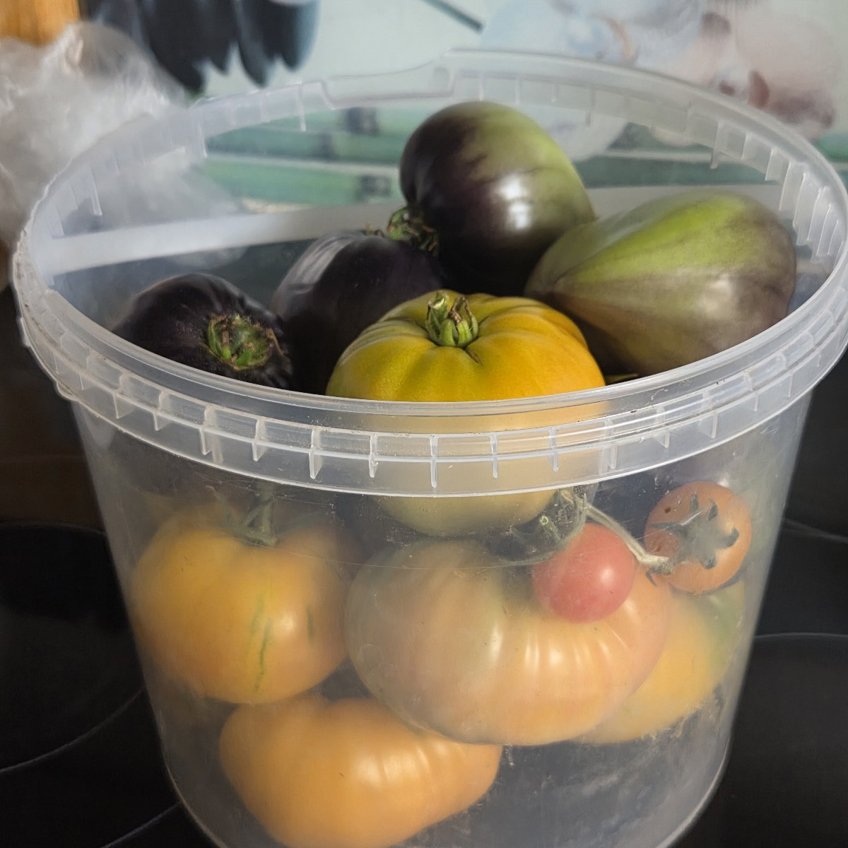 Und wieder massig Tomaten 🥰

Ich bin so dankbar, dass es dieses Jahr so extrem erfolgreich läuft mit den Tomaten. 

Am…
