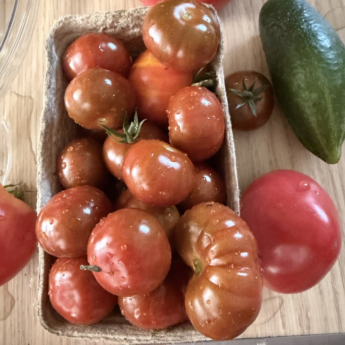 Achtung: Flachwitze!!
Von wegen treulose Tomaten…
Die @petitechocolat schiebt und schiebt und schiebt. Sie steht im GWH…