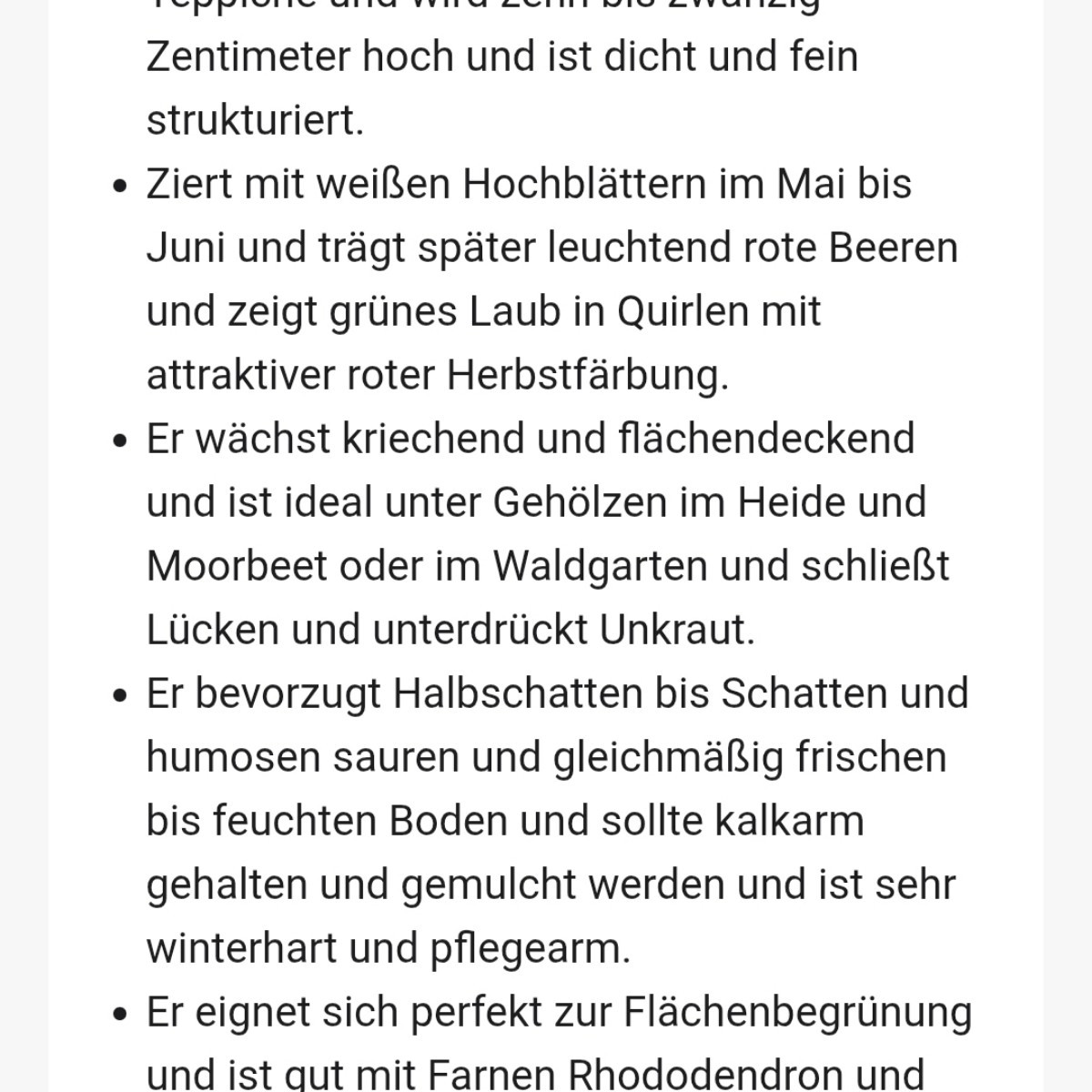 Bodendecker: immergrüne Elfenblume, Bodendeckerclematis,  Teppichhartriegel.