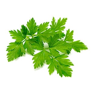 Parsley