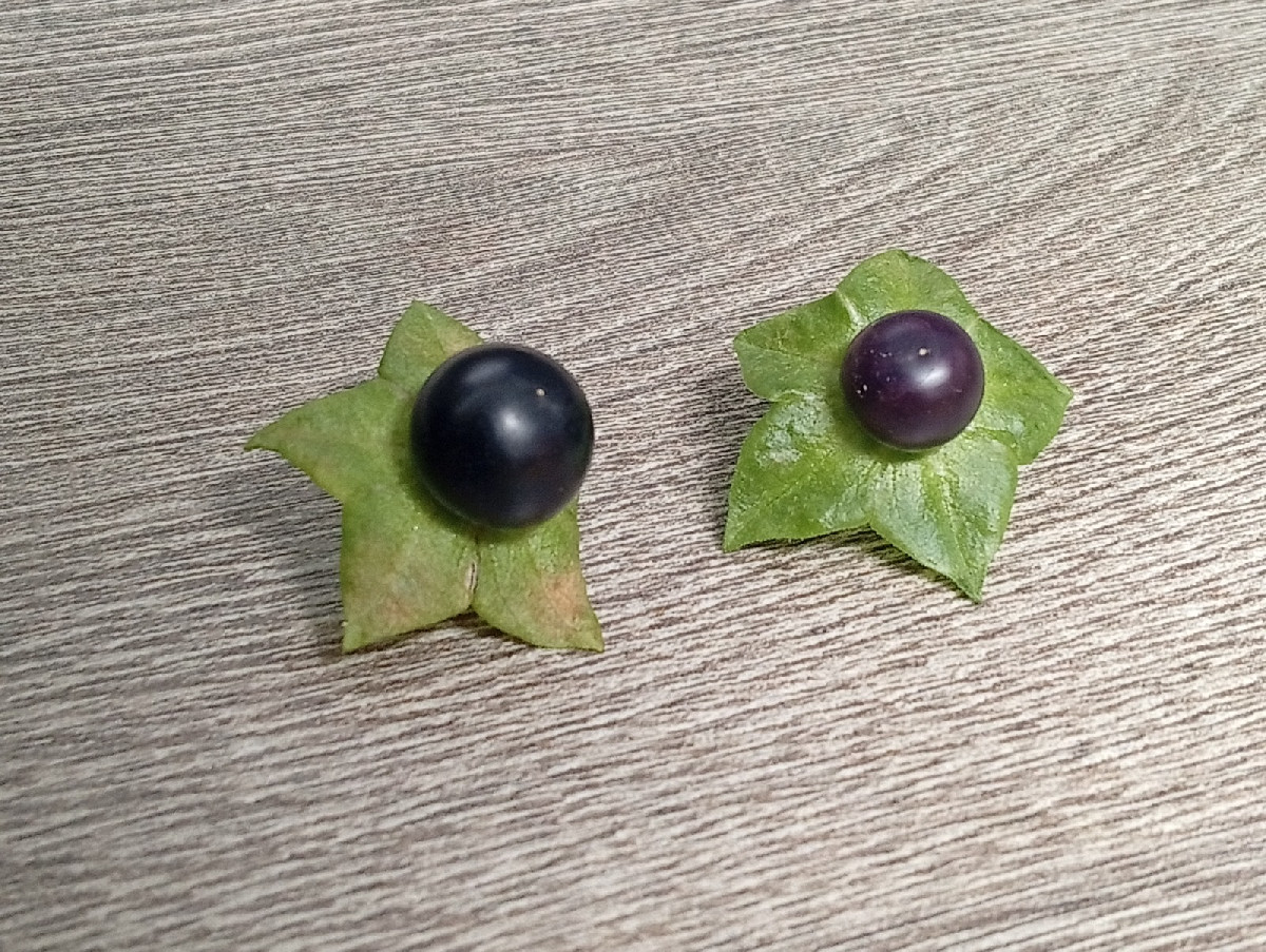 Hier sind noch die schwarzen Kügelchen.