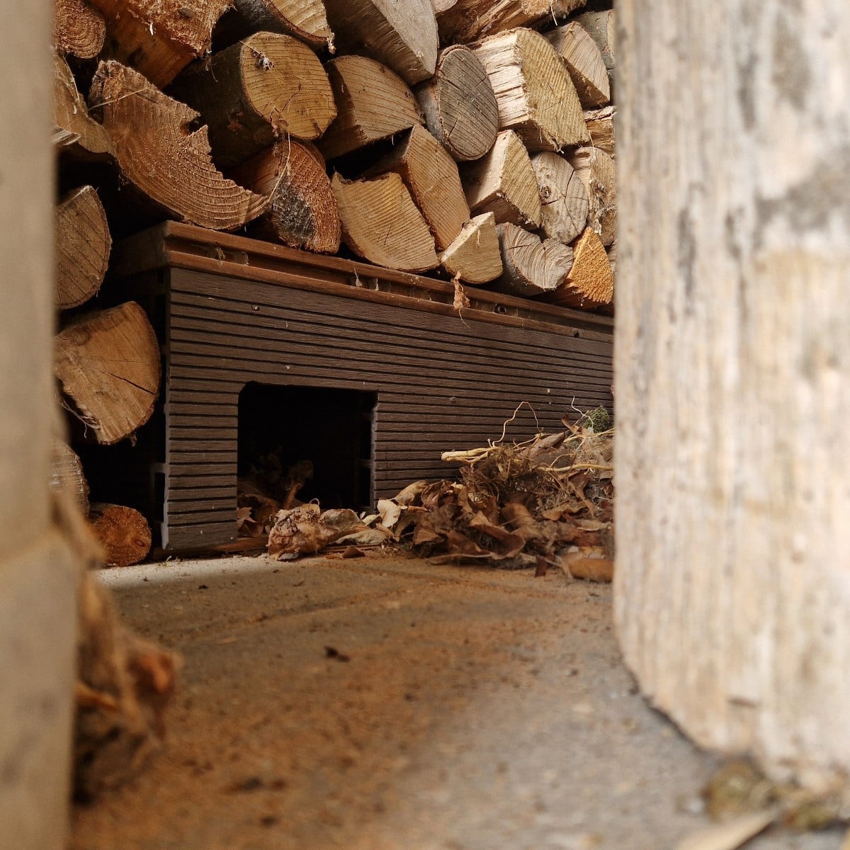Nach Besuch des Igels im Garten noch schnell ein Igelhaus in der Scheiterbeige gebaut.🙂
Freude an der Apfelernte, wenn…