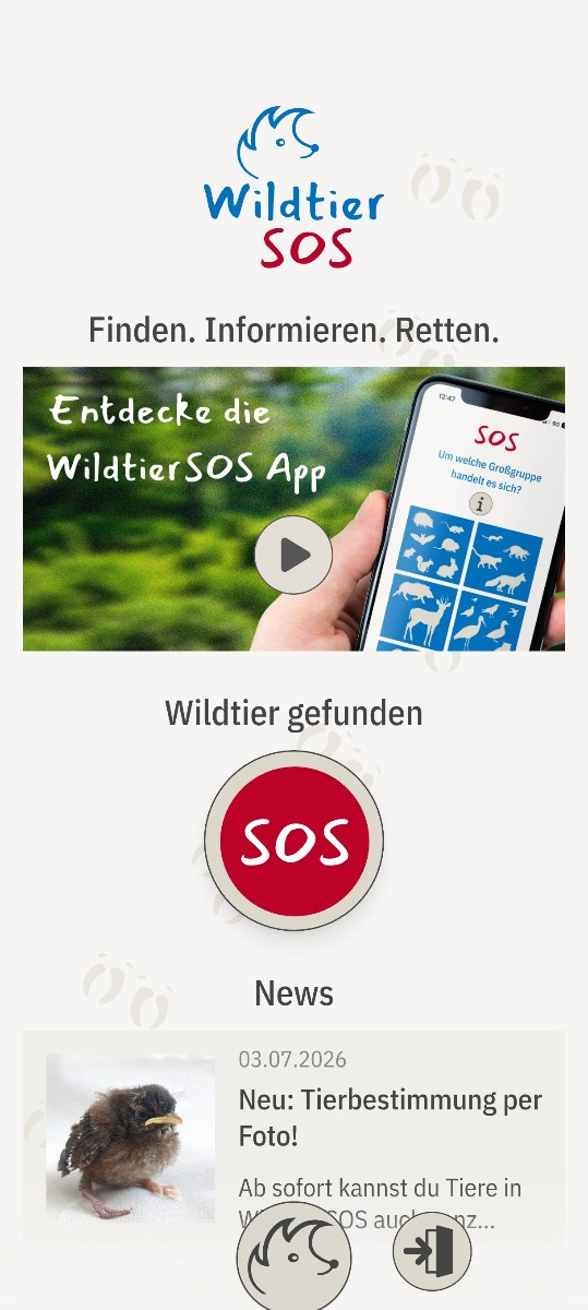 Falls er noch da ist, bitte zur nächsten Wildtier auffangstation bringen. Maulwürfe sind streng geschützt und werden au…